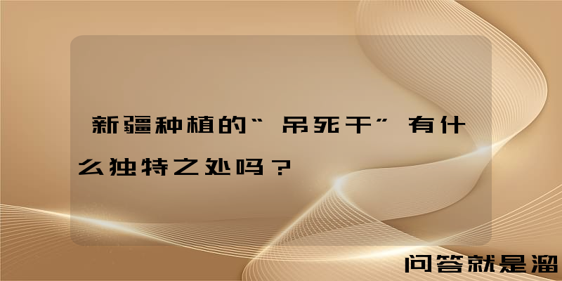 新疆种植的“吊死干”有什么独特之处吗？