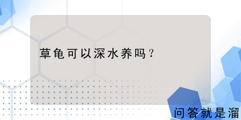 草龟可以深水养吗？